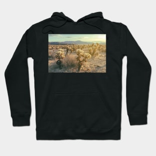 Cholla Garden Hoodie